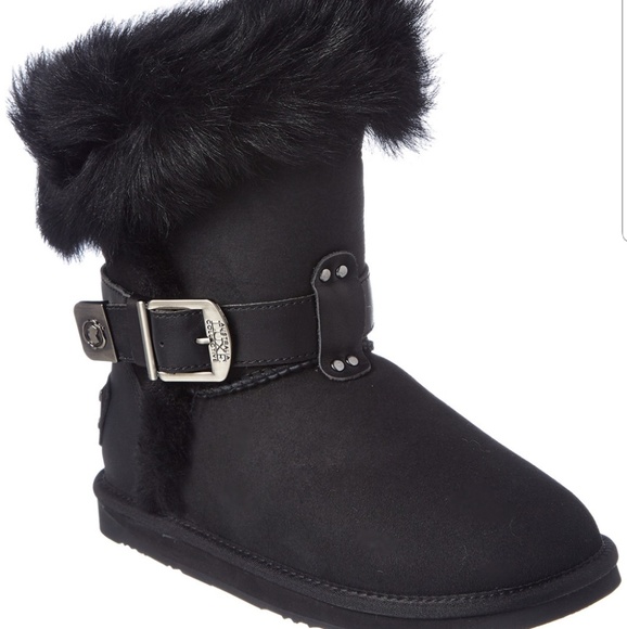 Australia Luxe Collective - Picture 1 of 3